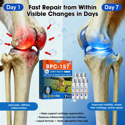 AVMA Recommended | Official  Store 🐶🐱Yovot® BPC-157 Advanced Joint & Total Body Health Oral Liquid -(For Dogs, Cats & Mammals. One Bottle Daily, Results in 7 Days)