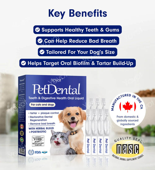 [Official Store] Yovot® Pet Dental & Digestive Health Oral Liquid – Freshen Breath, Remove Tartar & Promote gum regeneration, stabilize teeth (for Cats & Dogs)  – Save 70% Today!