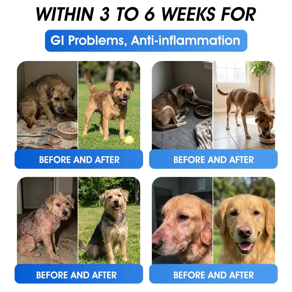 AVMA Recommended | Official  Store 🐶🐱Yovot® BPC-157 Advanced Joint & Total Body Health Oral Liquid -(For Dogs, Cats & Mammals. One Bottle Daily, Results in 7 Days)