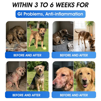 AVMA Recommended | Official  Store 🐶🐱Yovot® BPC-157 Advanced Joint & Total Body Health Oral Liquid -(For Dogs, Cats & Mammals. One Bottle Daily, Results in 7 Days)