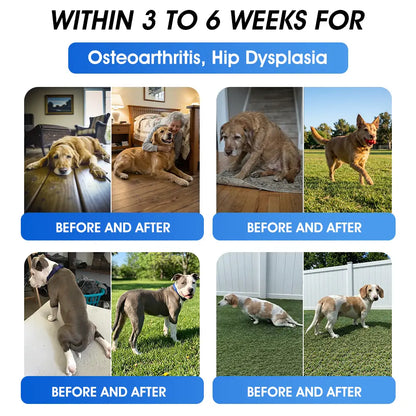 AVMA Recommended | Official  Store 🐶🐱Yovot® BPC-157 Advanced Joint & Total Body Health Oral Liquid -(For Dogs, Cats & Mammals. One Bottle Daily, Results in 7 Days)